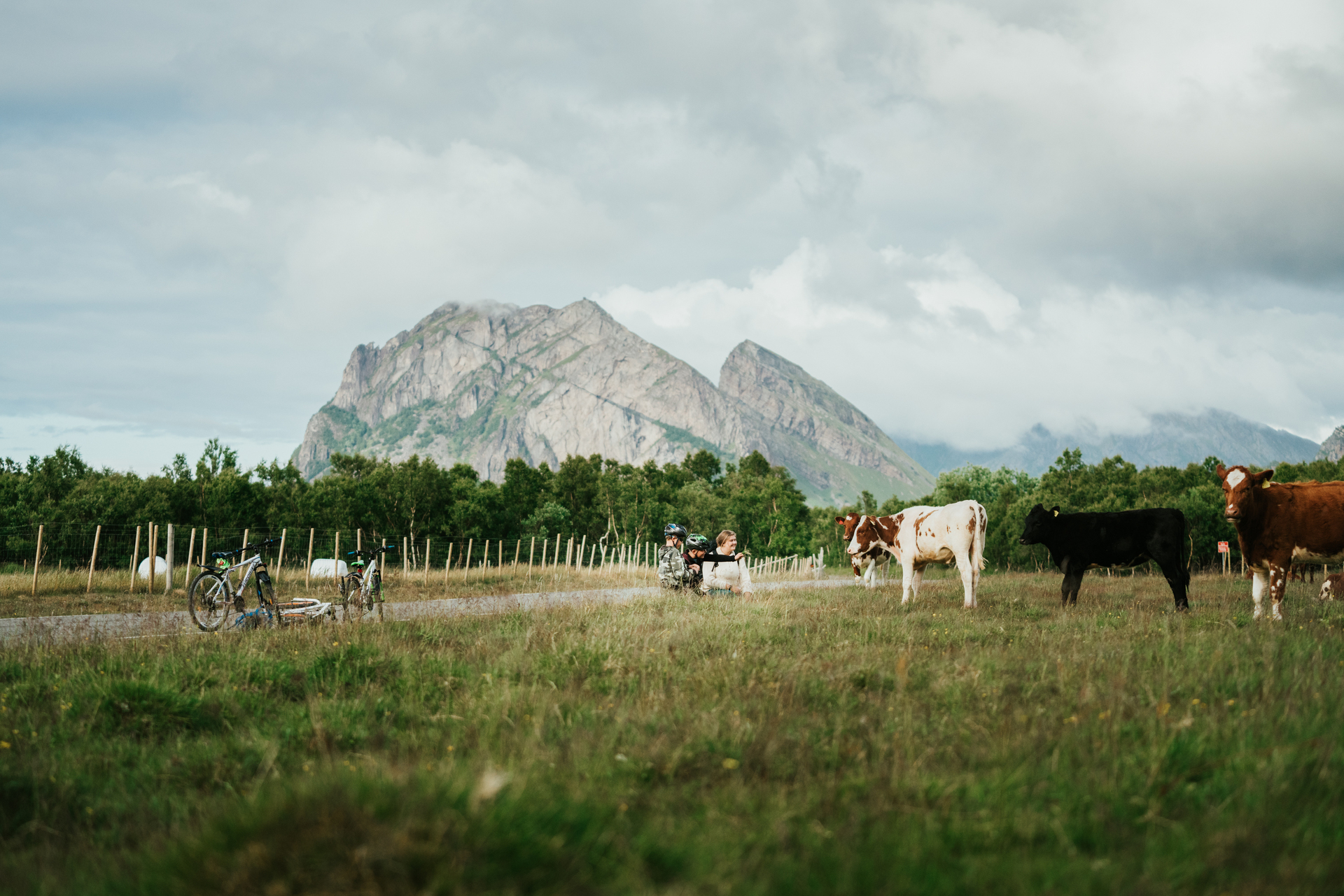 Engel�ya og Steigen